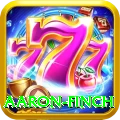 aaron finch Premium Edition v1.0.5