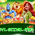 all cricket live score Slot Machine Champion