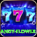 andy flower Gold Edition v4.8.2