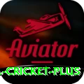 bbl cricket Turbo PK v1.7.1