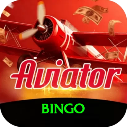 bingo Pro1 v1.8.8 - 2