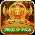 bingo - Slots King