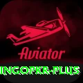 bingopkr Apps (Tools & Injectors) Deluxe v2.2.6