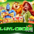 bpl live cricket Plus Edition v1.1.7