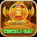 cricket bat Gold Edition v4.9.6
