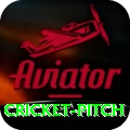 cricket pitch Premium v1.4.6