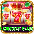 fastest ball in cricket Plus Latest v2.3.7