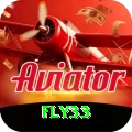 fly33 Pro1 v4.8.5