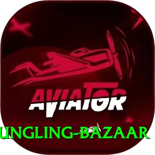 fungling bazaar Max Pro v5.1.2 - 2