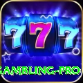 gambling VIP Casino App