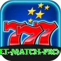 india cricket match Game VIP v4.8.5