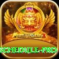 india next cricket match schedule Game Deluxe v1.6.8