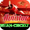 india pakistan cricket VIP Edition v1.5.2