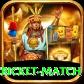 india pakistan cricket match Ultimate Pro v1.3.8