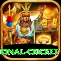international cricket Premium v3.5.0