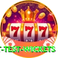 most test wickets Premium v5.8.2