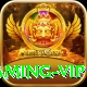 Pakistan Betting Site Gaming VIP