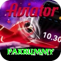 pakrummy Master Pro v4.8.7