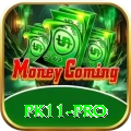 pk11 App Turbo v4.1.2