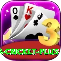 r cricket Deluxe v3.3.8