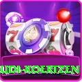 rudi koertzen VIP Pro v1.2.9