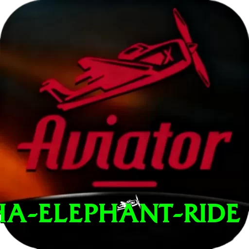sauraha elephant ride Plus Pro v5.5.9 - 2