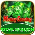 steve waugh Premium Edition v3.3.3