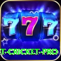 test cricket Gaming Master
