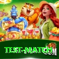 test match VIP Pro v1.1.7