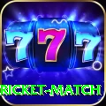 to day cricket match Deluxe Pro v4.7.4