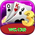 wc t20 VIP Pro v5.9.8