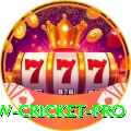 willow cricket Pakistan Royal v4.7.8